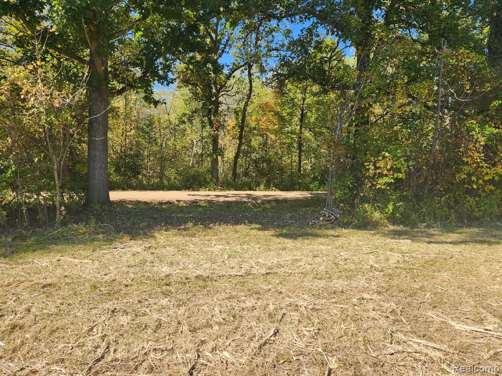 Vacant Land Skelton Road, Columbiaville, MI 48421 — Photo 2