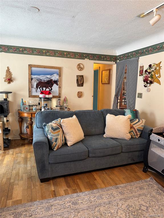 766 Louisa Street, Mount Morris, MI 48458 — Photo 4