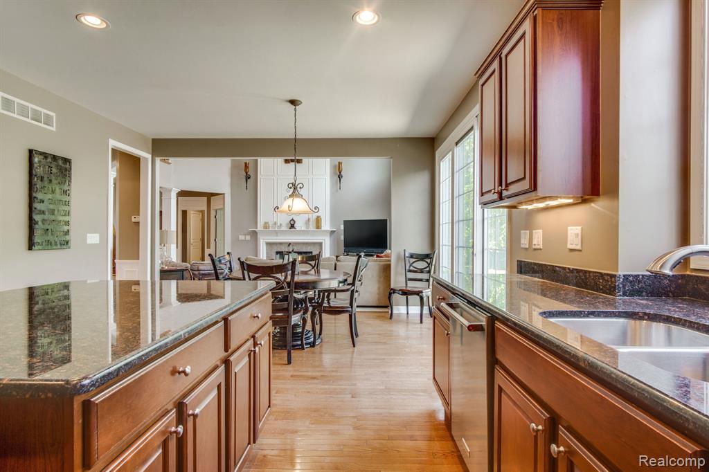 16026 JOHNSON CREEK Drive, Northville, MI 48168 — Photo 16