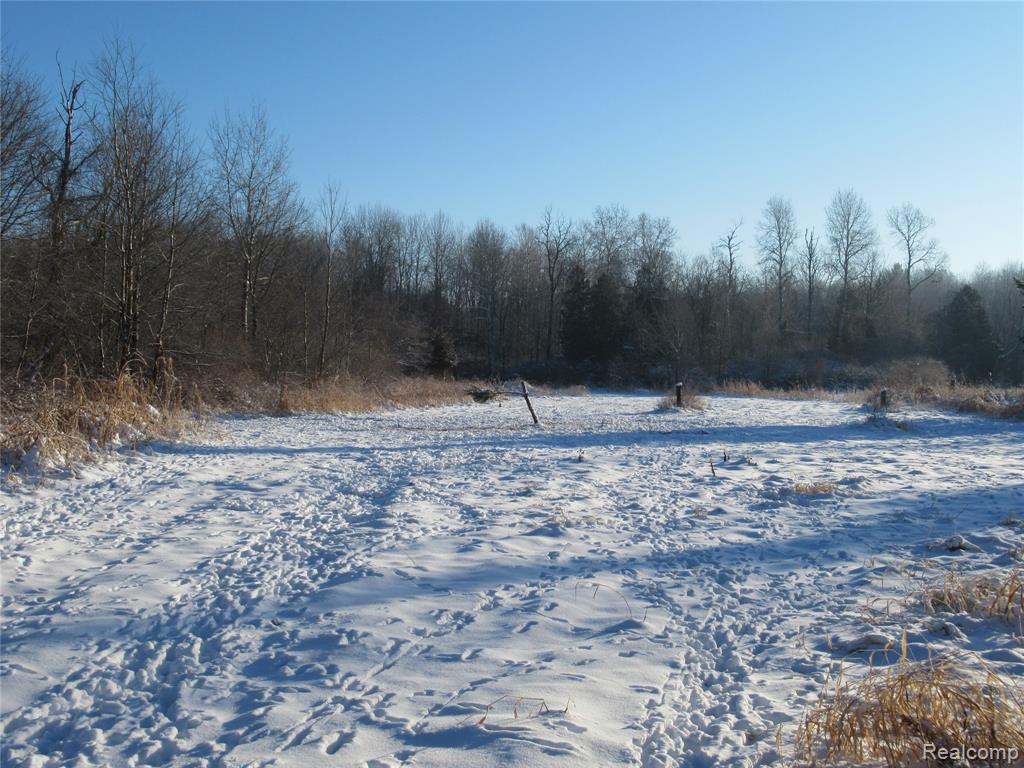 VACANT LAND S. PLAIN Road, Caro, MI 48723 — Photo 6