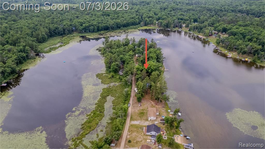 8272 Paradise Drive, South Branch, MI 48761 — Photo 50