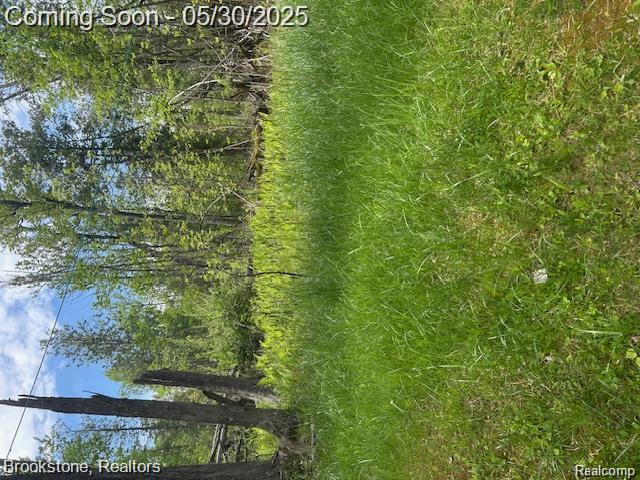 4148 Blue Vista Drive, Evart, MI 49631 — Photo 24