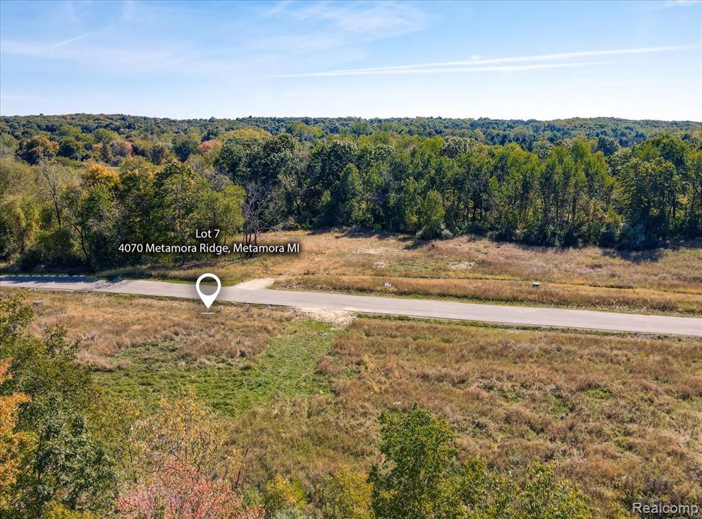 4070 Metamora Ridge, Metamora, MI 48455 — Photo 3
