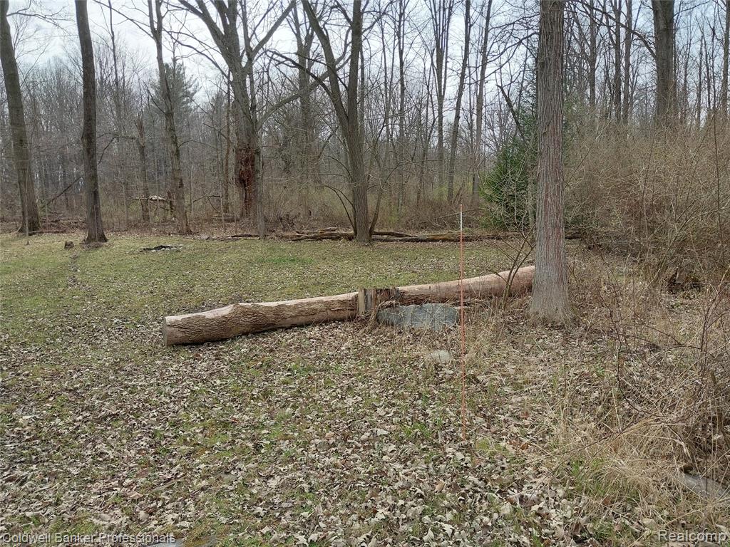 VL Rattle Run Road, St. Clair, MI 48079 — Photo 13