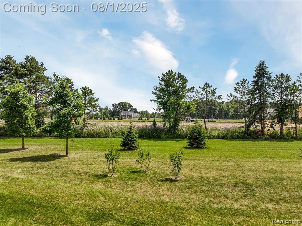 61171 Shaya Boulevard, South Lyon, MI 48178 — Photo 62