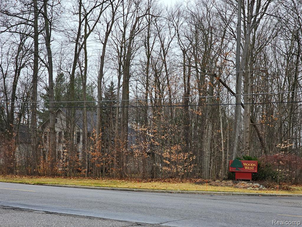 2291 WOODS WEST Drive, Flushing, MI 48433 — Photo 22