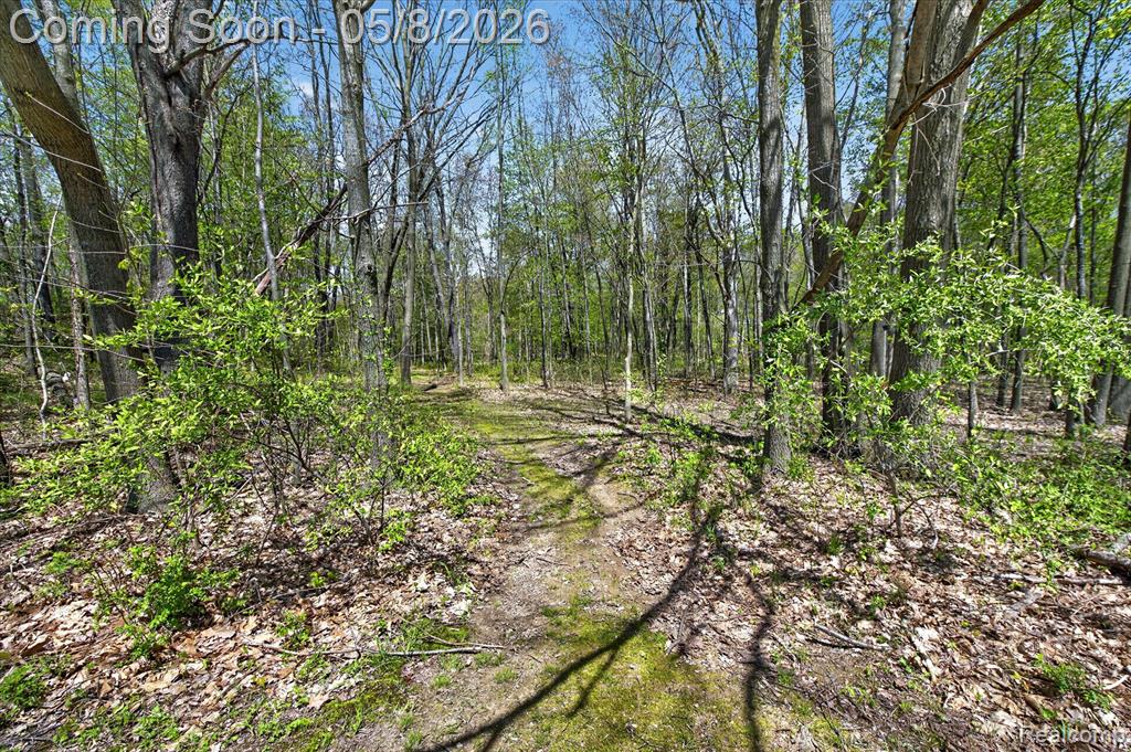 7156 Manor Lane, Fowlerville, MI 48836 — Photo 54