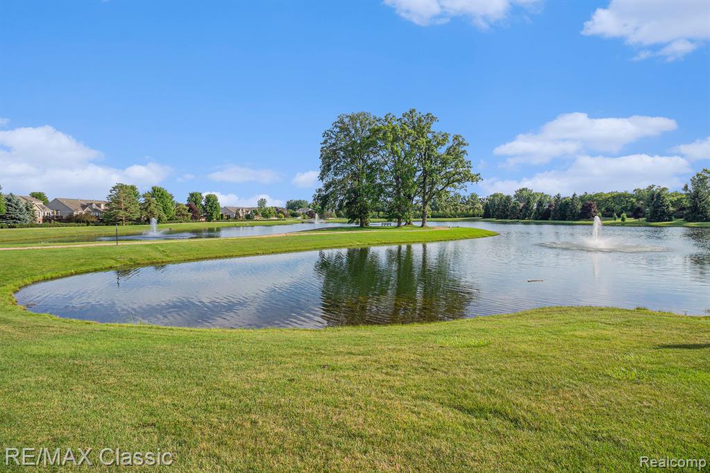 28462 COTTAGE Lane, New Hudson, MI 48165 — Photo 34