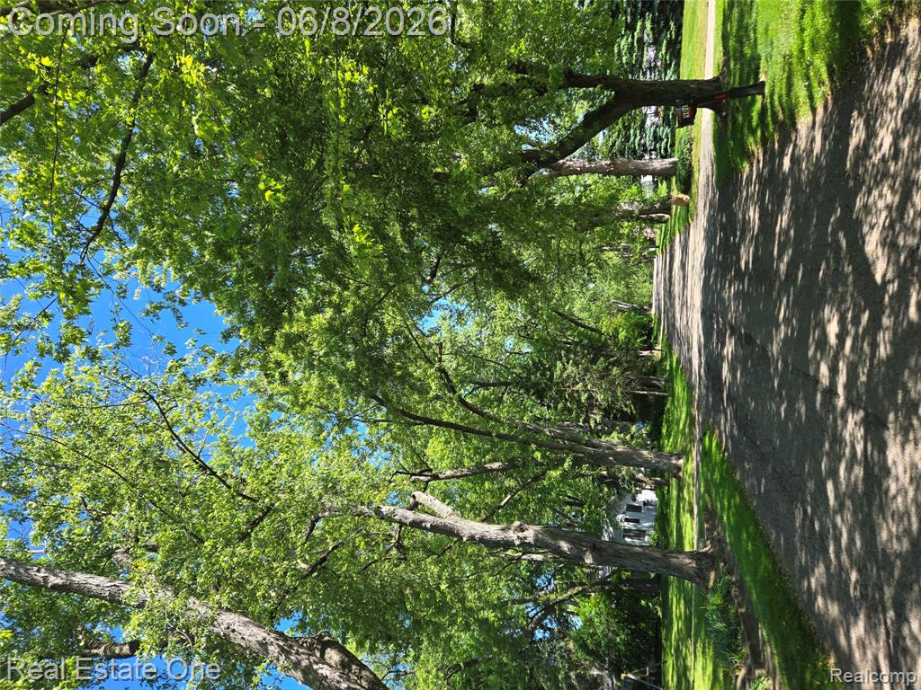661 Harry Paul Drive, Lake Orion, MI 48362 — Photo 4