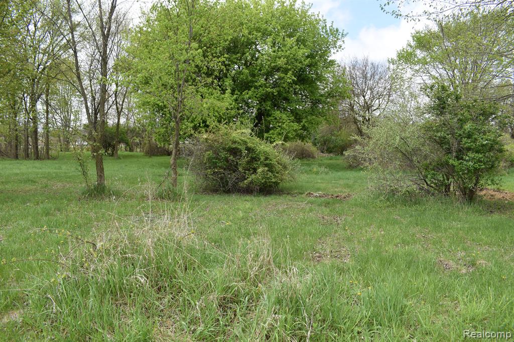 VL Grand River Avenue, Fowlerville, MI 48836 — Photo 7
