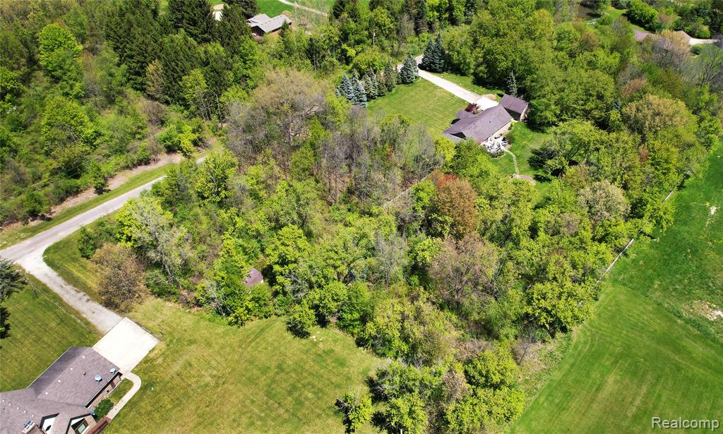 53183 Maranatha Lane, Milford, MI — Photo 5