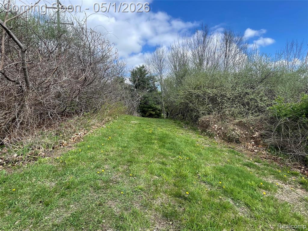 69774 / 69862 Fisher Road, Bruce, MI 48065 — Photo 64