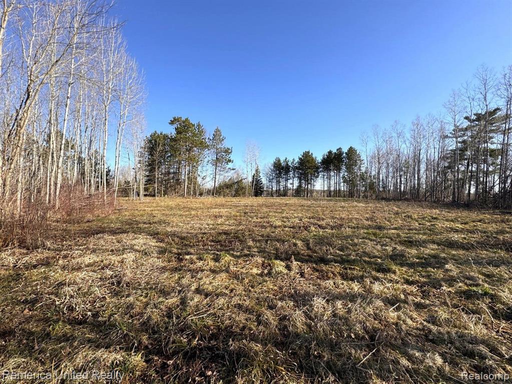 4052 S RIVER Road, Cheboygan, MI 49721 — Photo 10