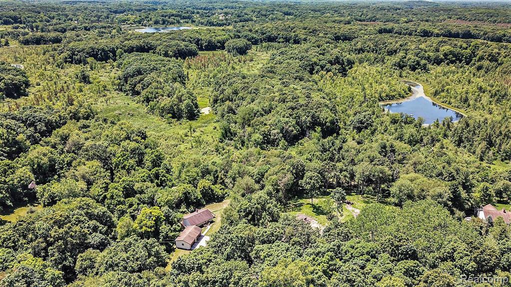 8050 Mester Road, Chelsea, MI 48118 — Photo 20