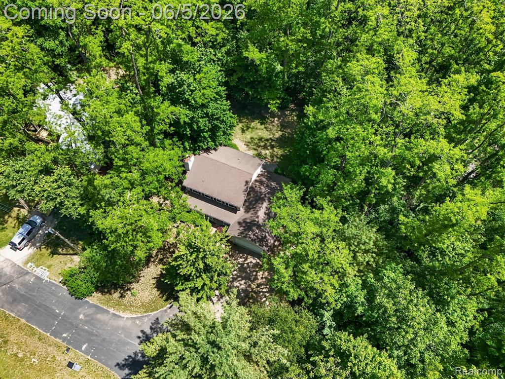 15129 Locust Grove Drive, Byron, MI 48418 — Photo 54