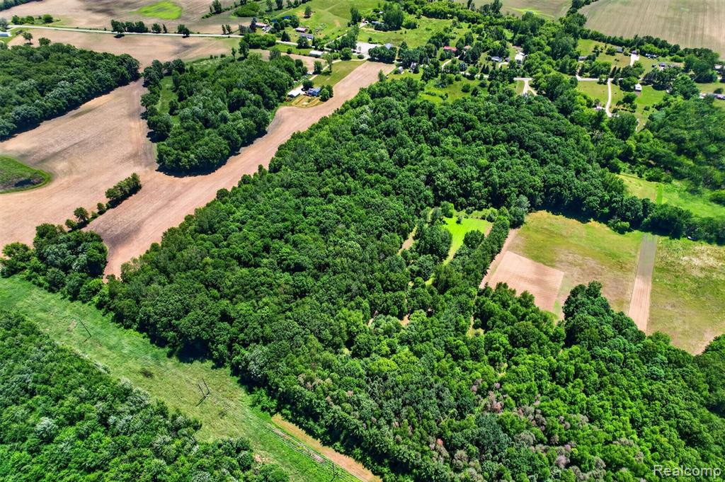 V1 Murray Road, Dansville, MI 48819 — Photo 12