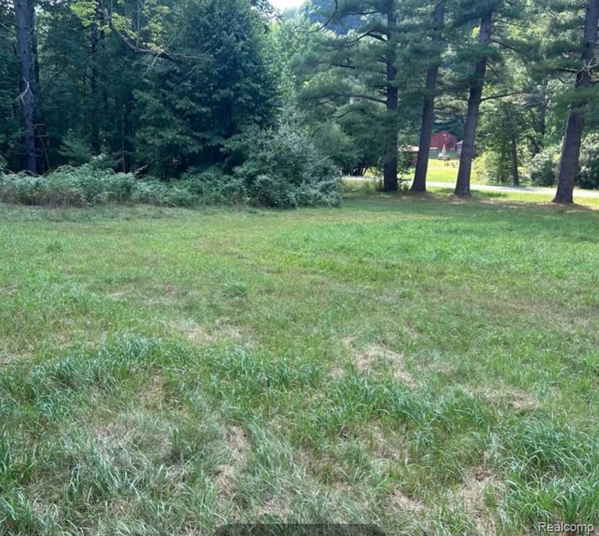 11255 Long Rapids Road, Lachine, MI 49753 — Photo 12
