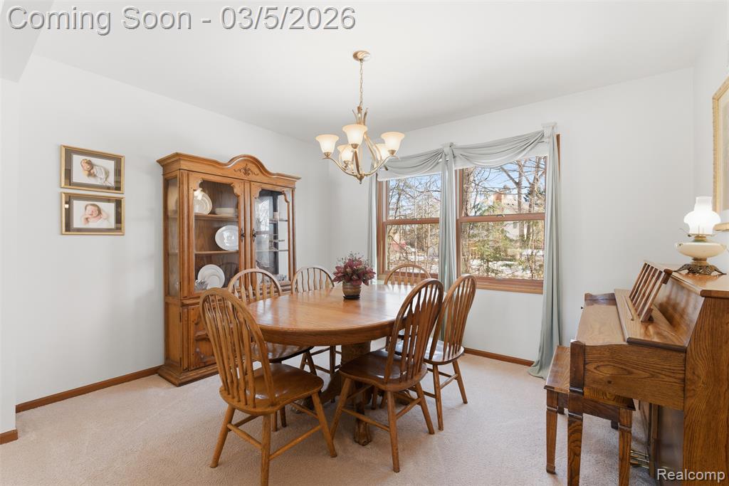 15948 Park Lane, Northville, MI 48168 — Photo 9