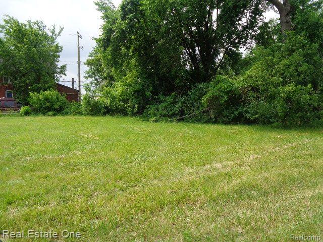3301 VINEWOOD Street, Detroit, MI 48208 — Photo 7