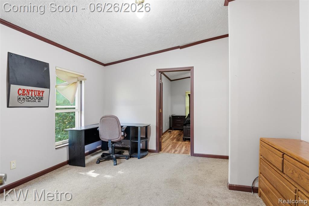 22733 Sumpter rd Road, Belleville, MI 48111 — Photo 9
