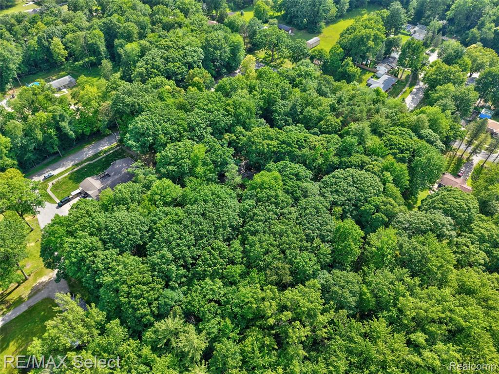 3471 S Towerline Road, Bridgeport, MI 48722 — Photo 56