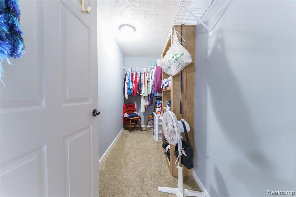 5601 Lovejoy Road, Byron, MI 48418 — Photo 17