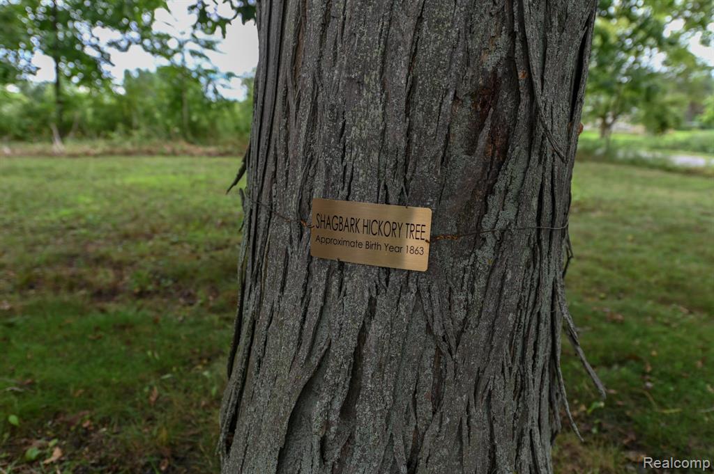 11219 Dodge Road, Otisville, MI 48463 — Photo 25