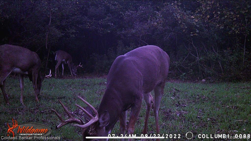 VL Columbiaville Road, Columbiaville, MI 48421 — Photo 24