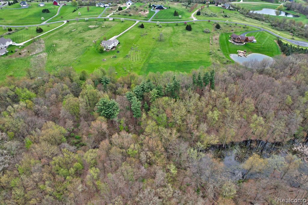 V/L Austin Court, Elba, MI 48446 — Photo 6