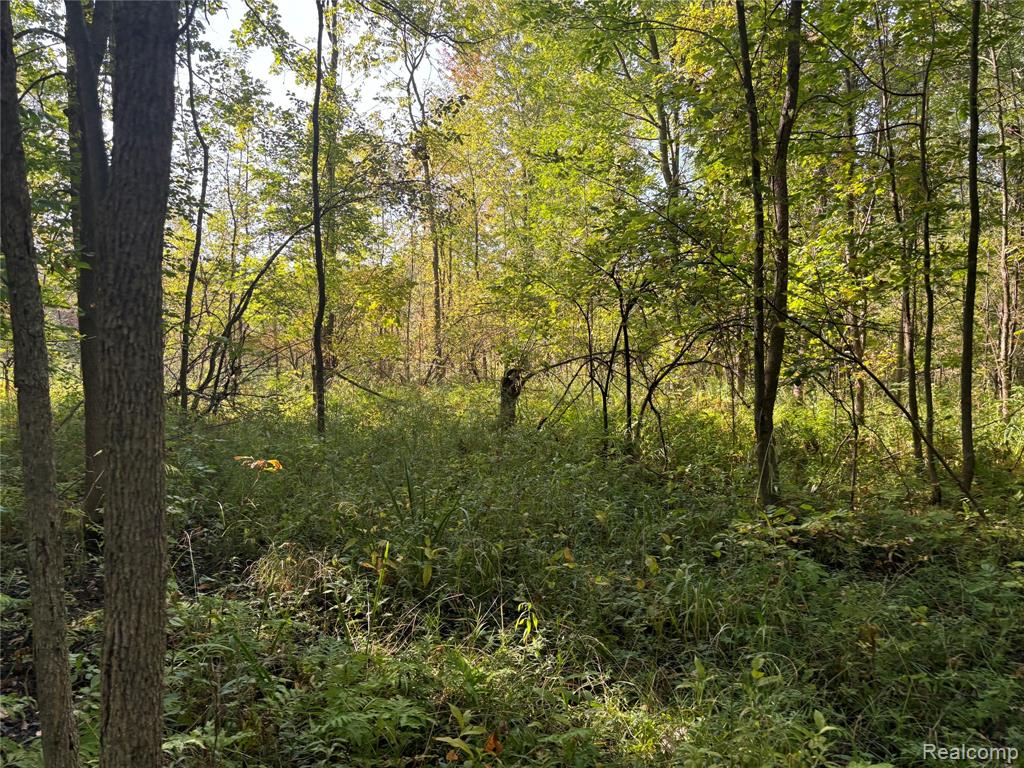 v/l LAKEWOOD Lane, Attica, MI 48412 — Photo 2