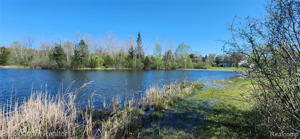 3338 FIELD Road, Clio, MI 48420 — Photo 8