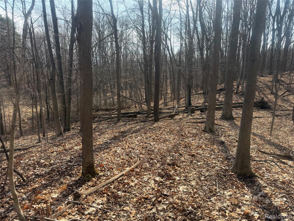 V/L Fulton, Mayville Vlg, MI 48744 — Photo 30