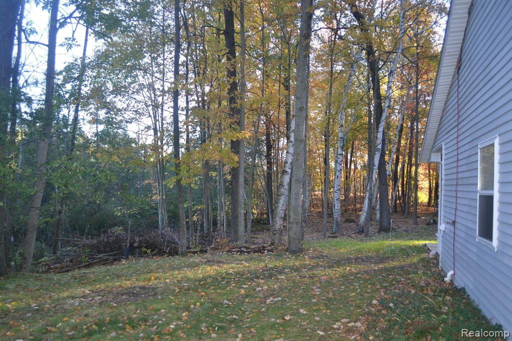 6375 JOANNE Street, Lake, MI 48632 — Photo 57