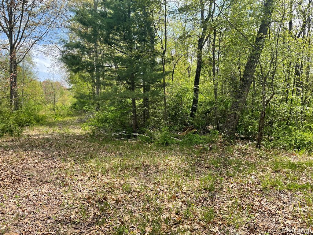 NA Oakridge Drive, Au Gres, MI 48703 — Photo 9