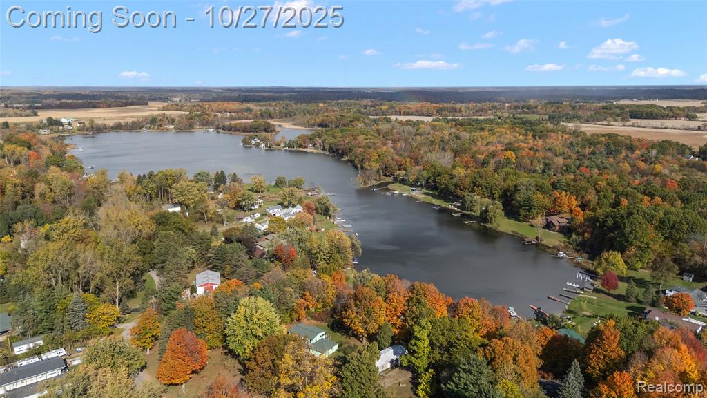 100 Curella Drive, Attica, MI 48412 — Photo 6