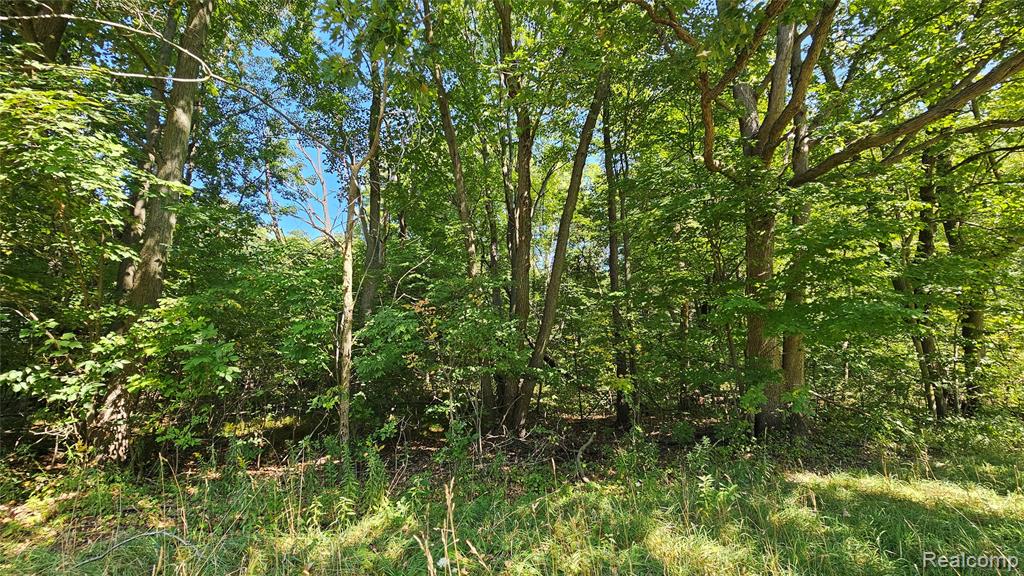 14066 N Lewis Road, Clio, MI 48420 — Photo 36