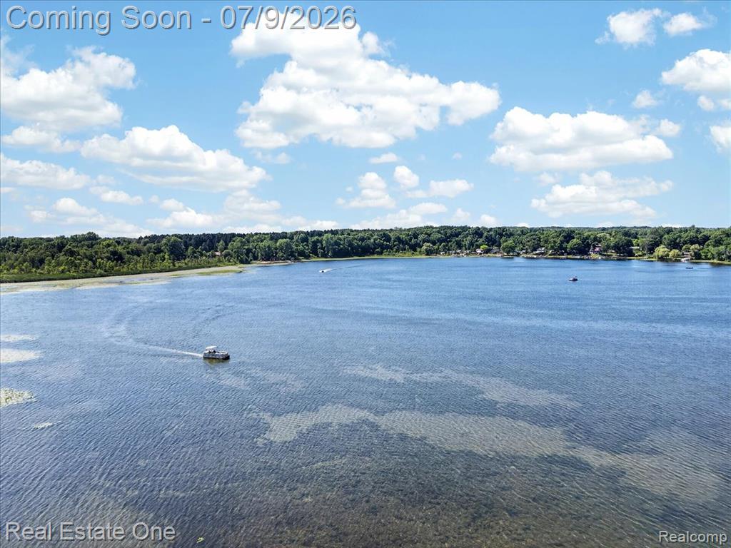 705 Sunset Drive, Attica, MI 48412 — Photo 11
