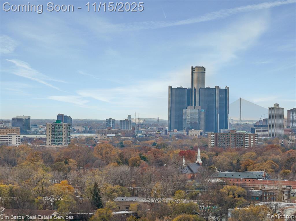 2462 Townsend Street, Detroit, MI 48214 — Photo 50