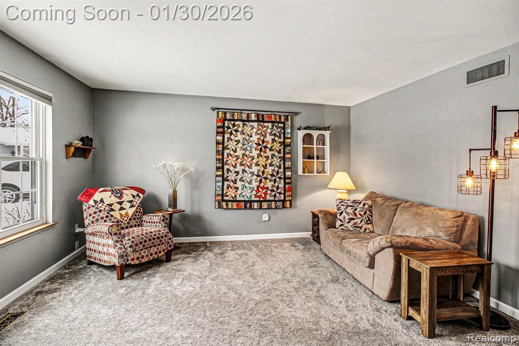 858 Alpine Drive, Brighton, MI 48116 — Photo 3