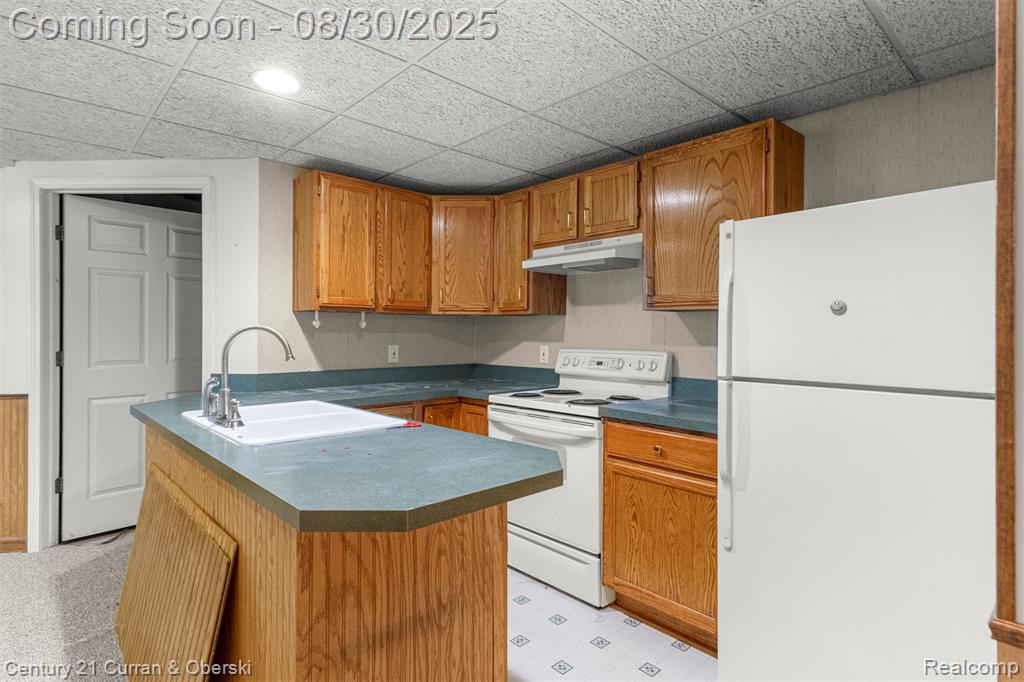 44067 Greenview Lane, Northville, MI 48168 — Photo 37
