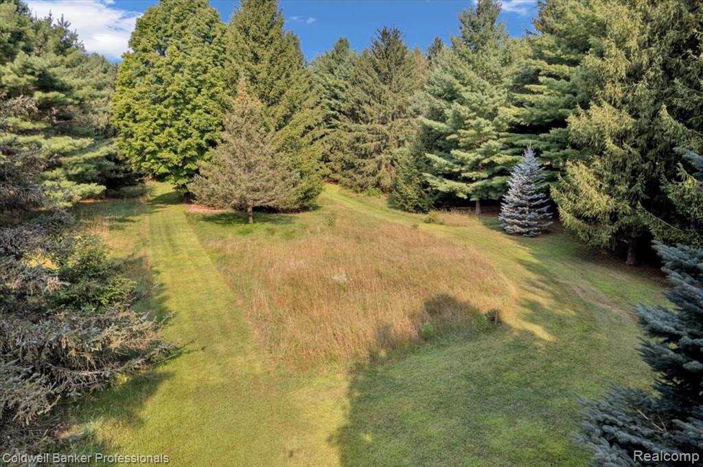 3252 Hosner Road, Dryden, MI 48428 — Photo 24