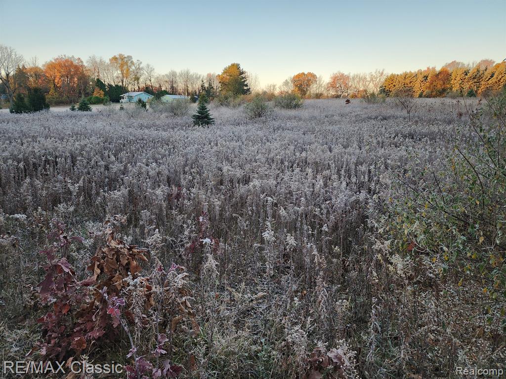 4125 N TIPSICO LAKE Road, Hartland, MI 48353 — Photo 4