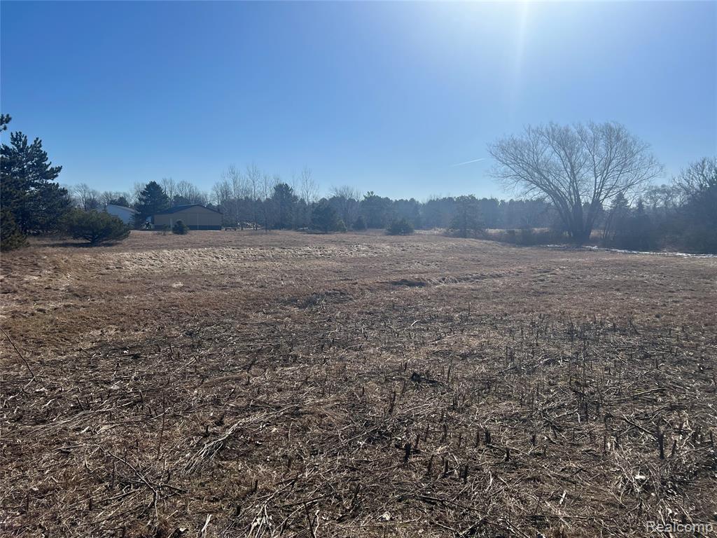 VL Mertz Rd, Mayville Vlg, MI 48744 — Photo 11