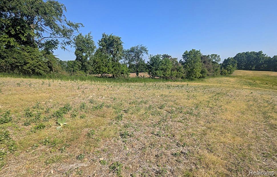Parcel A - Rolston Road, Linden, MI 48451 — Photo 12