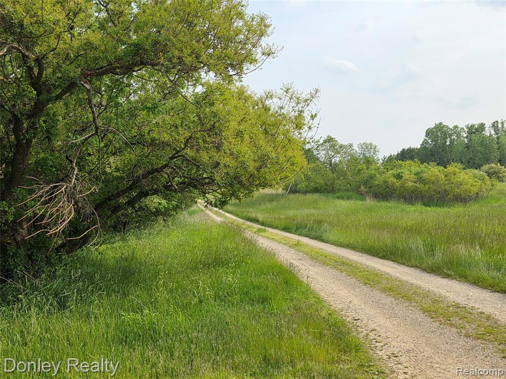 5900 Frenchline Road, Marlette, MI 48453 — Photo 14