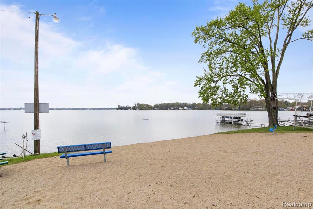 10281 GROVE Drive, Whitmore Lake, MI 48189 — Photo 6