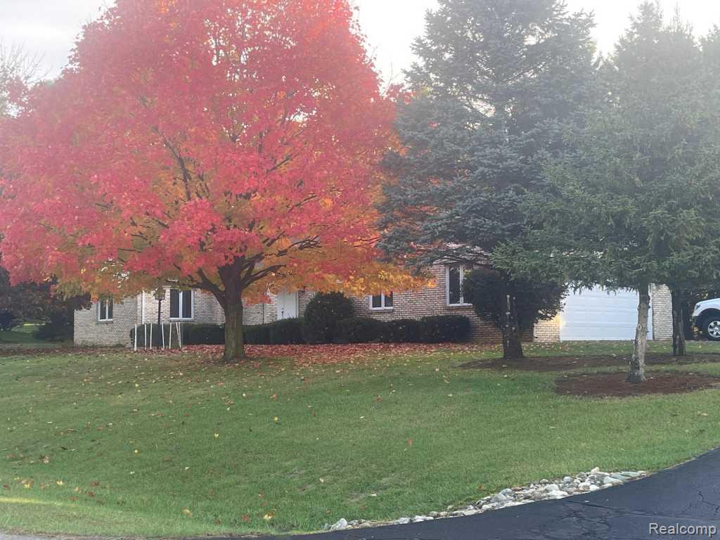 4163 Nancy Drive, Brighton, MI 48114 — Photo 3