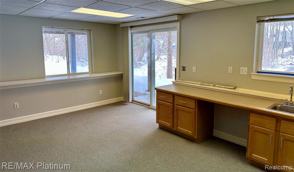 534 Hope Street, Brighton, MI 48116 — Photo 18