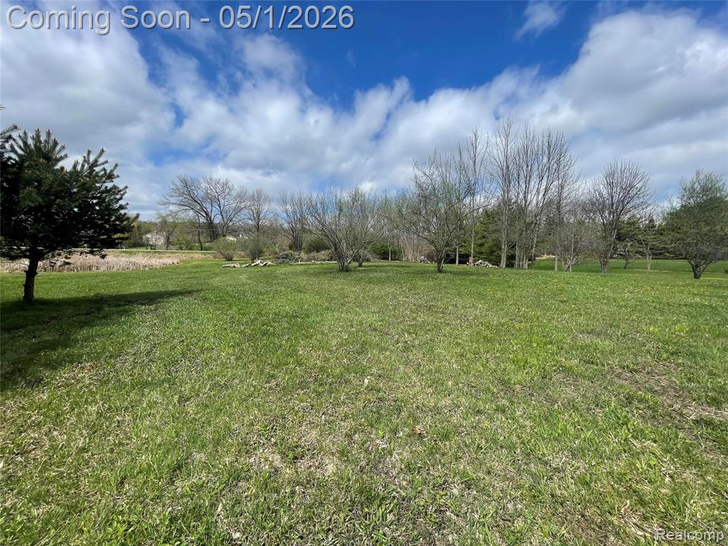 69774 / 69862 Fisher Road, Bruce, MI 48065 — Photo 67