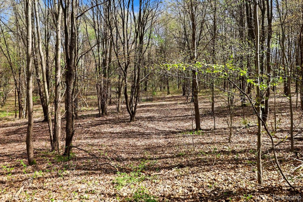8815 Milford Road, Holly, MI 48442 — Photo 28